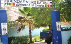 Bélel Thiaski (Linguère) - Un adolescent mort découvert sous un arbre : "accident de travail" ou meurtre ?