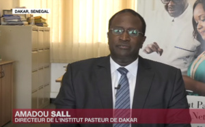 VIDEO- Dr. Amadou Sall : "L’Institut Pasteur de Dakar veut faciliter le dépistage du Covid-19 en Afrique"