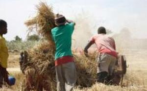3 milliards pour nourrir 314 000 personnes
