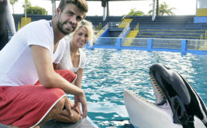 Photos- Shakira et Gerard Piqué adoptent… un orque