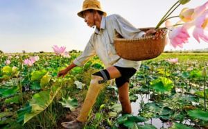 Les trente ans de Handicap International au Cambodge