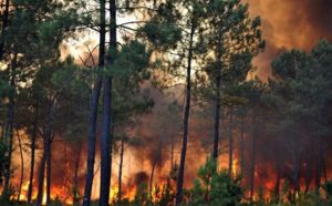 L'incendie de Lacanau est contenu