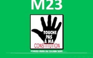 Mission De Harouna Sy Au Darfour: Le M23 Saisit L’Onu
