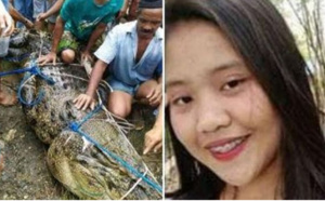 Indonésie : Une ado de 17 ans meurt dévorée par un crocodile
