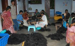 Origine des cheveux naturels