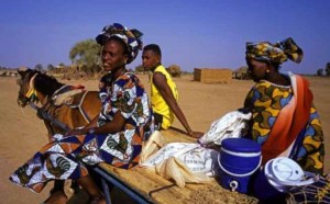 DIATAR : Une bataille entre castes fait 7 blessés dont trois graves