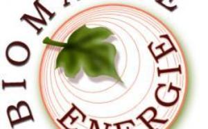 Energie renouvelable : 400 Mw en biomasse pour règler l’électricité