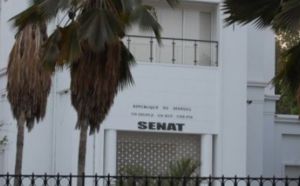 Suppression du Sénat : Le personnel commet un avocat