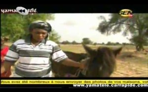 "BENEEN LIFE" - Kiné Sow au Village  (SenTV)