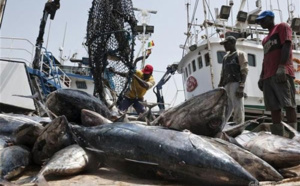 Permis de pêche: le « niet » du Sénégal à des dizaines de bateaux étrangers