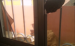 Madinatoul Salam: la maison de Khadim Thioune, ancien député, vandalisée, les proches d'Aïda Diallo indexés 