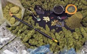 Les Sénégalais de plus en plus accrocs au cannabis
