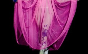 Lady Gaga en burqa !