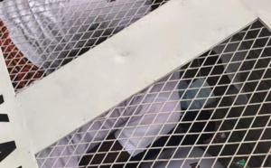 Distribution de masques: Une trentaine de jeunes de l’Apr arrêtés au centre-ville