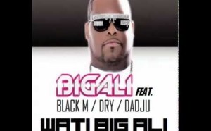 Big Ali  feat Wati B: "sexion d'assaut"