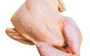 «  Non » à l’importation du poulet américain.