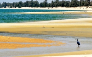 Boulimie foncière, boom immobilier sans cohérence, anarchies en tout genre…  Le littoral au bord de l’asphyxie