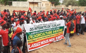 Contentieux Djilakh-Sedima - Une marche annoncée à Dakar par les populations vendredi prochain