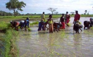 L’Etat travaille au désenclavement définitif de la Casamance, selon Mor Ngom