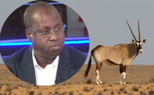 Affaire des gazelles Oryx: Abdou Karim Sall menacé d'une plainte du Pds devant le Procureur
