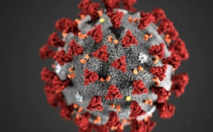 Espagne-Sport : en division 2, un match annulé à cause de 6 cas de coronavirus