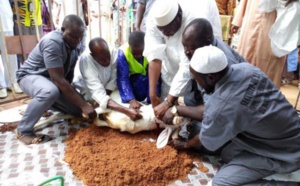 La Tabaski sera célébrée le 31 juillet (Association des Imams et Oulémas)