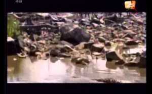 Documentaire du mardi 23 octobre 2012 [2sTV]