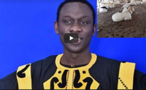 Vidéo:  Pape Diouf offre des moutons à ses musiciens pour la fête de Tabaski, regardez !