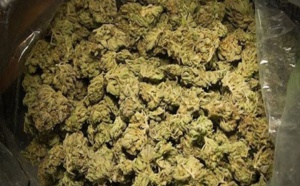 Trafic de drogue: la gendarmerie de Joal saisit 84 kg de chanvre indien