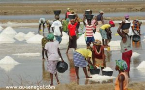 Proposition d’un spécialiste de l’Aménagement du Territoire : « Enlever Mbour de Thiès, rattacher Touba et Thiès »