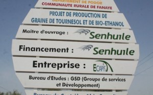 Projet Sen-ethanol : menaces sur 135 milliards de Fcfa