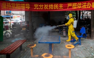 Chine : un village placé en quarantaine après un cas mortel de peste Bubonique !