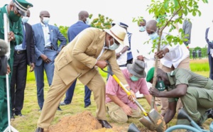 Journée de l'Arbre - Macky Sall veut "reverdir" tout le Sénégal