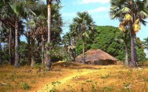 Casamance:  création d'un groupe de lobbying pour le développement de la région du Sud 