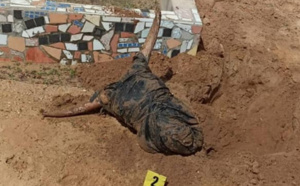 Mbour : La tête et des pattes de bœuf noir enterrées au cimetière de Téfess