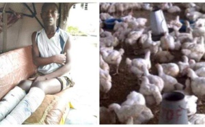 Nigeria : la police « torture » à mort deux individus, suite au vol de 7 poulets à Bauchi