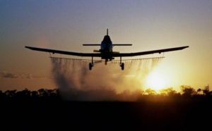 Un expert prône la création d’une cellule dédiée à la gestion des avions agricoles
