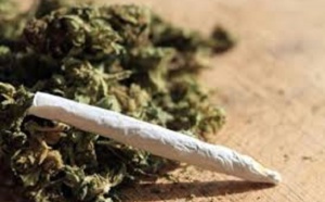 lutte contre le trafic de  stupéfiants :  108 kg de drogue saisis entre le Centre et le Sud du pays en 48h