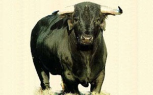 Drame Linguère : un éleveur écorné mortellement par sa vache qu’il tentait de sortir d’un marigot