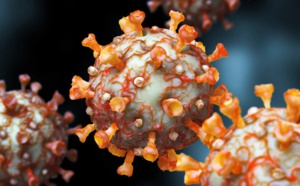 Coronavirus : ce qu'on sait… et ce qu'on ne sait toujours pas