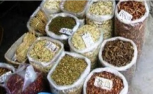 Traitement de la COVID-19: la médecine traditionnelle sénégalaise aussi soigne ses malades…