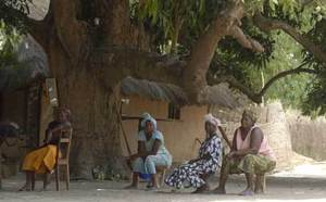 La CNTS et des partenaires italiens pour la relance économique de la Casamance