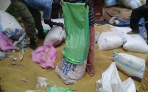 Douane: 264 sacs de sucre frauduleux saisis à Nganda