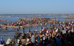 Les pêcheurs de Mbour sont « contre le repos biologique du poulpe »