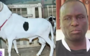 Révélations sur l’enquête de la gendarmerie: «Boy Kairé » a été braqué par ses…voisins