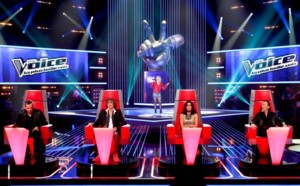 The Voice, La plus belle voix sur TF1 : claire, ex membre des L5, recalée aux auditions