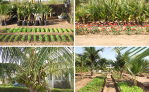 Gestion durable des terres : Keur Samba Dia sollicite l’appui des partenaires