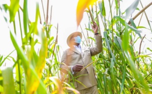 En images - Tournée économique: Macky Sall démarre par "Jamm Bugum"