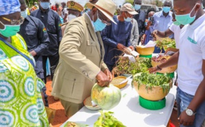Tournée agricole de Macky Sall: En images, l'étape de Sibassor