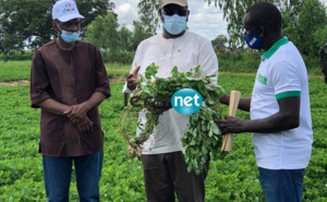 VIDEO - Macky Sall rend visite aux populations de Nioro du Rip 